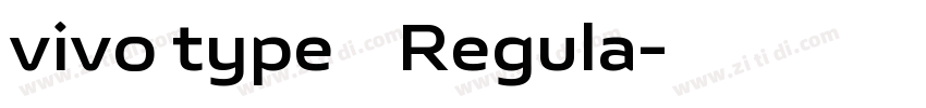 vivo type 简 Regula字体转换